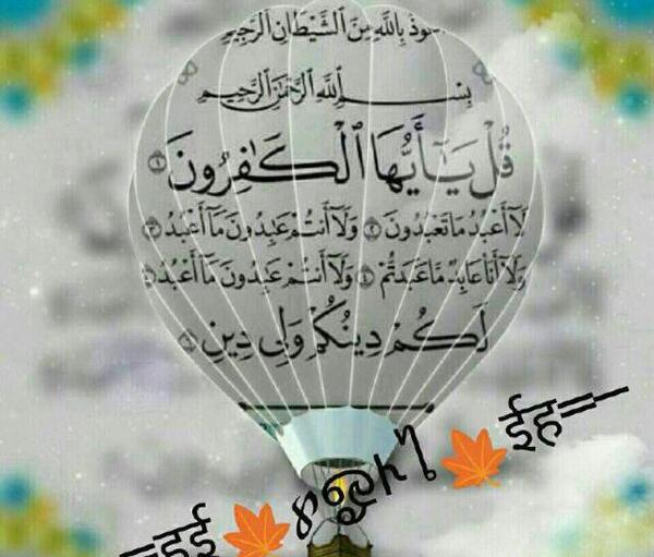 عکس نوشته های دکتر احمد حلت