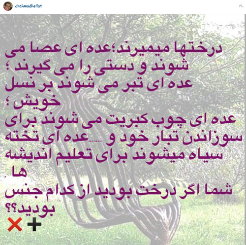 عکس نوشته های دکتر احمد حلت