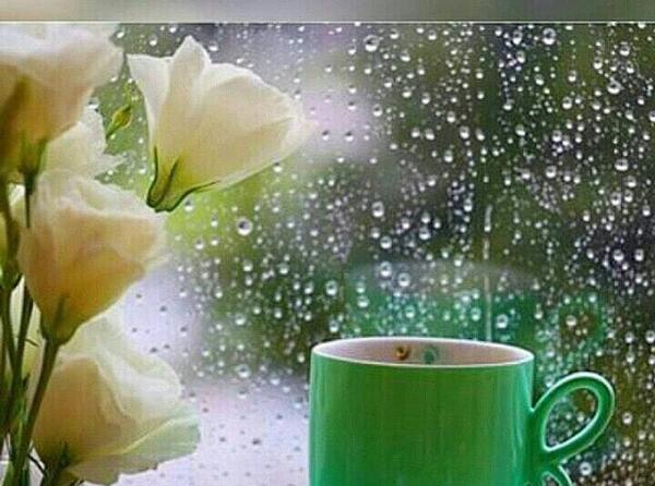 عکس نوشته رضا احسان پور