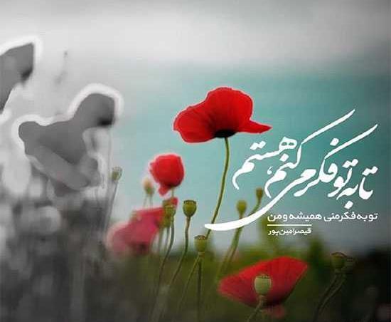 عکس نوشته از قیصر امین پور