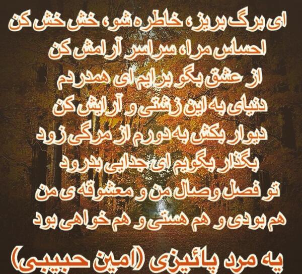 عکس نوشته امین حبیبی