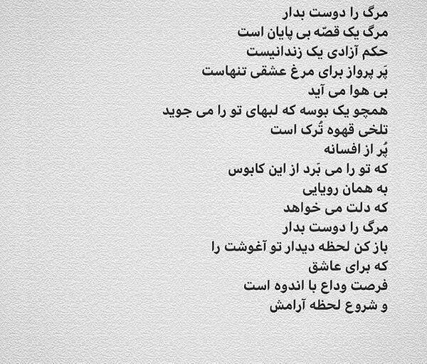 عکس نوشته امین حبیبی