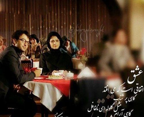 عکس نوشته مرغ امین شهرزاد