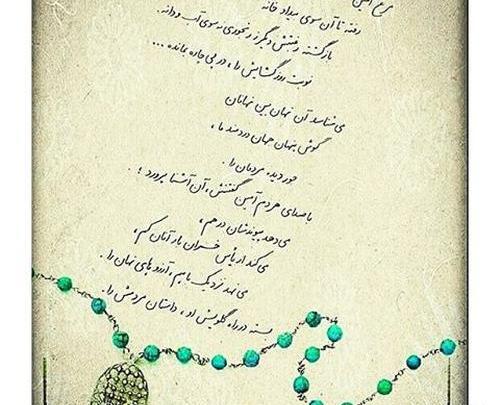 عکس نوشته مرغ امین شهرزاد