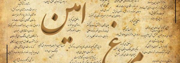 عکس نوشته مرغ امین شهرزاد