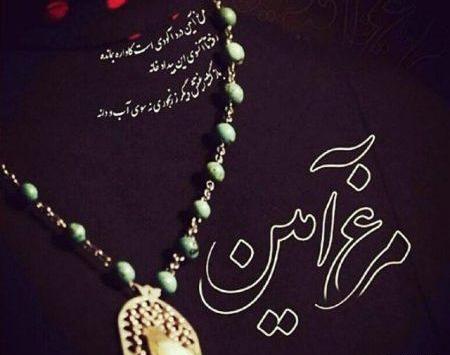 عکس نوشته مرغ امین شهرزاد
