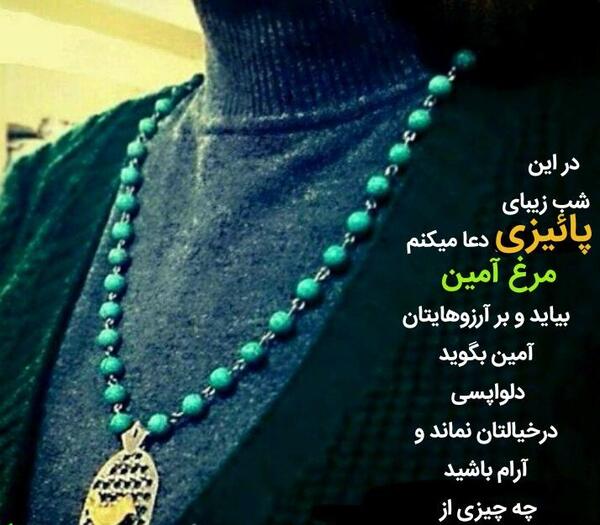 عکس نوشته مرغ امین شهرزاد