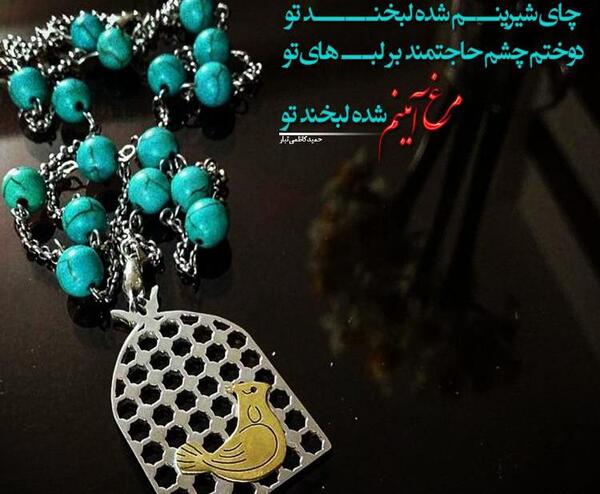 عکس نوشته مرغ امین شهرزاد