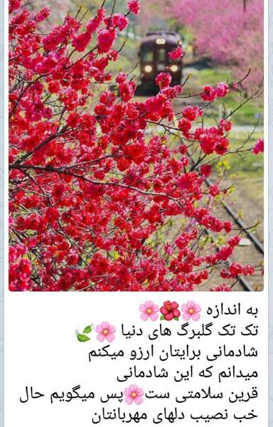 عکس نوشته آرزوی سلامتی برای همه