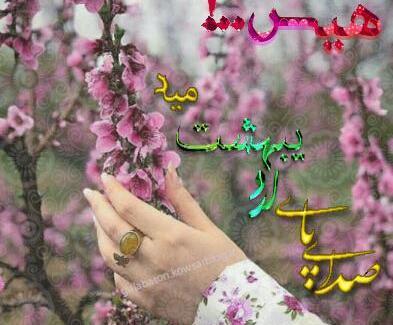 عکس نوشته صدای پای بهار