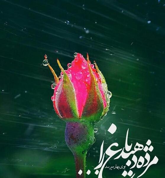 عکس نوشته صدای پای بهار