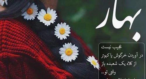 عکس نوشته بهار دلگیر