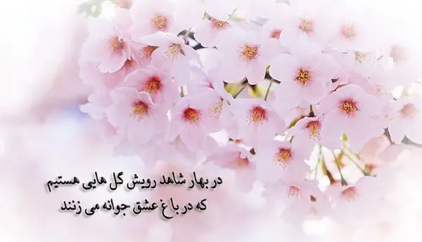 عکس نوشته رسیدن بهار