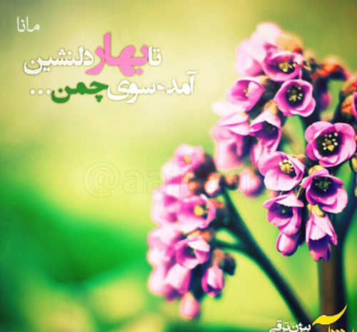 عکس نوشته بهار زندگی