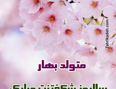 عکس نوشته زاده بهار