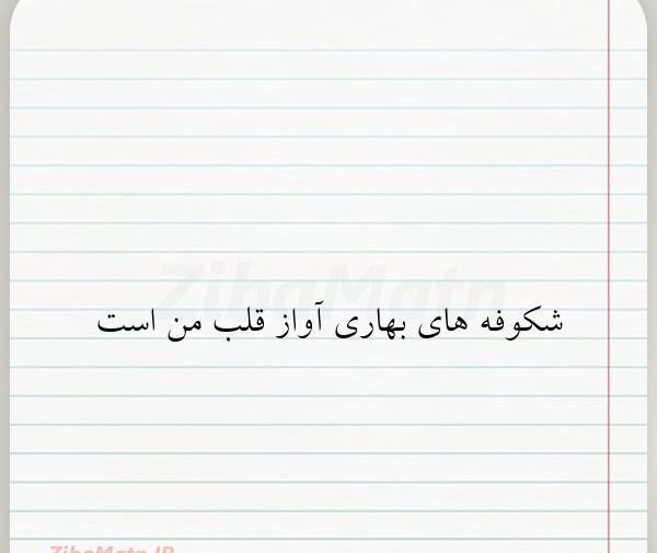 عکس نوشته بهار شکوفه