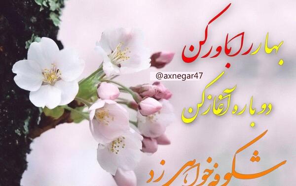 عکس نوشته شکوفه بهاری