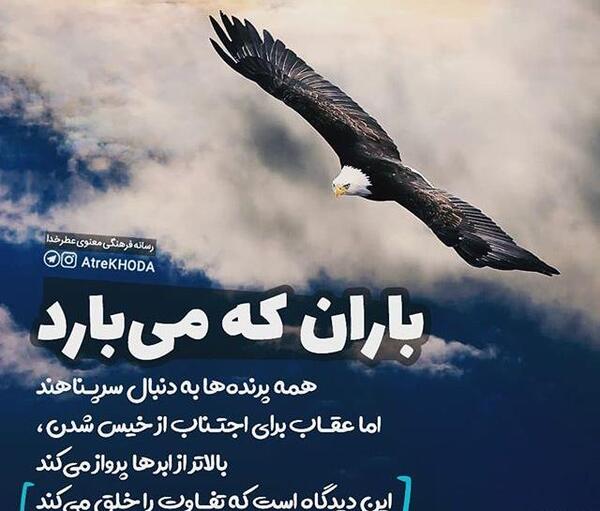 عکس نوشته باران که میبارد