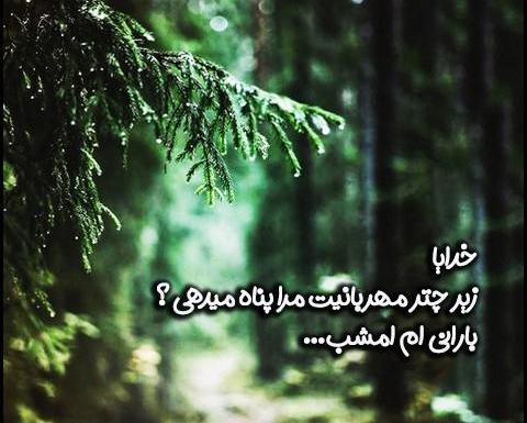 عکس نوشته شکر باران