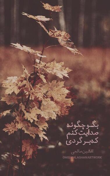 عکس نوشته پدرم چگونه صدایت کنم که برگردی