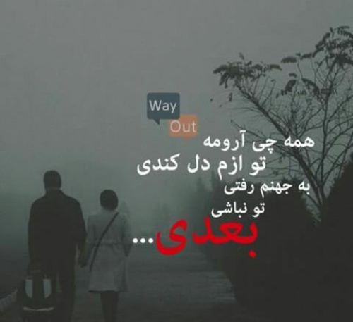 عکس نوشته گور پدر بعضیا