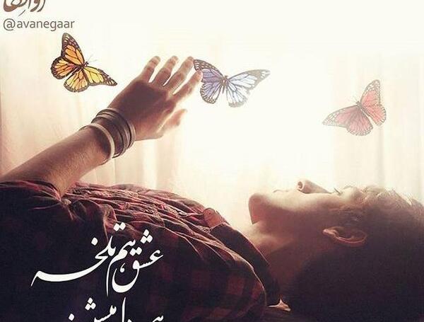 عکس نوشته پروانه