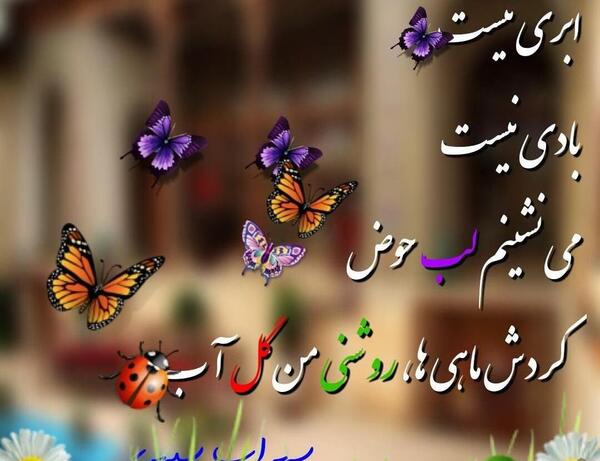 عکس نوشته پروانه