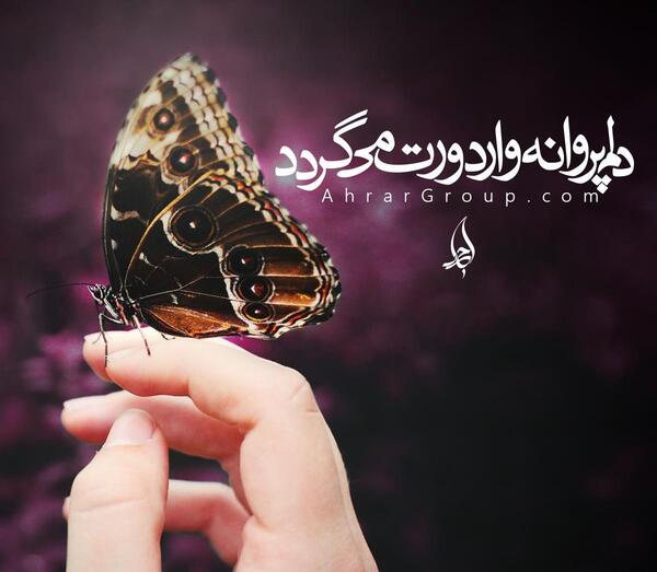 عکس نوشته پروانه
