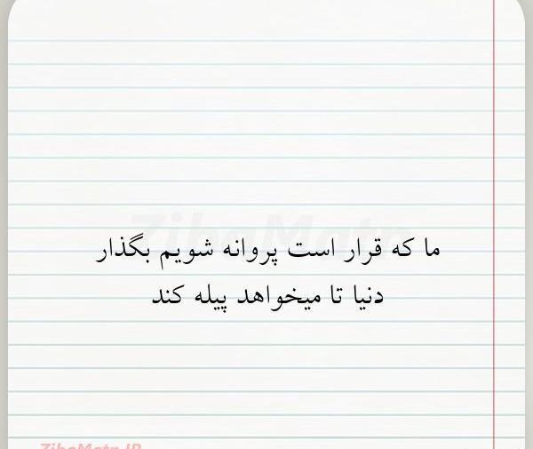 عکس نوشته پروانه