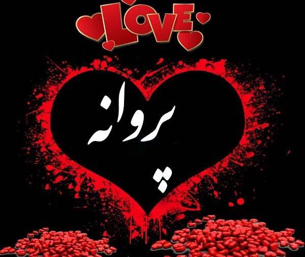 عکس نوشته پروانه به انگلیسی