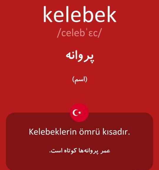 عکس نوشته پروانه به انگلیسی