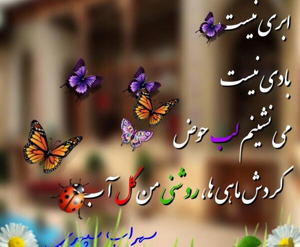 عکس نوشته اهنگ پروانه