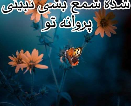 عکس نوشته اهنگ پروانه