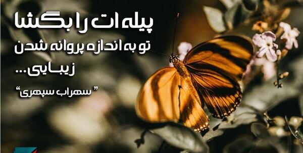 عکس نوشته اهنگ پروانه