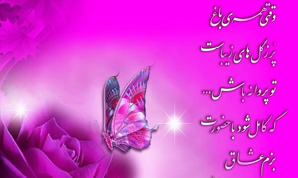 عکس نوشته پروانه باش