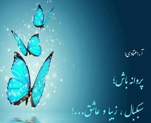 عکس نوشته پروانه باش