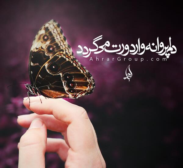 عکس نوشته مثل پروانه باش