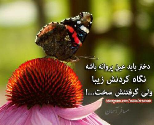 عکس نوشته مثل پروانه باش