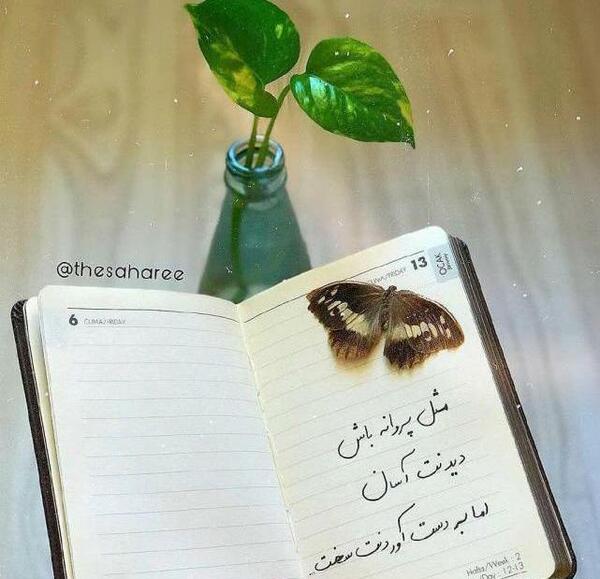 عکس نوشته پروانه های زیبا