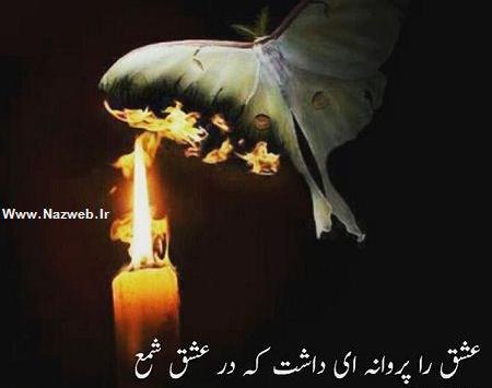 عکس نوشته پروانه های زیبا