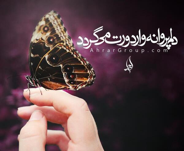 عکس نوشته پروانه های زیبا