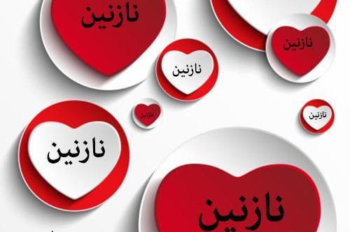 عکس نوشته هانیه و نازنین