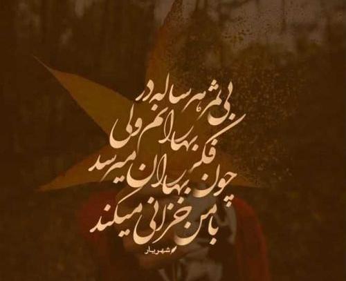 عکس نوشته زندگی بی ثمر