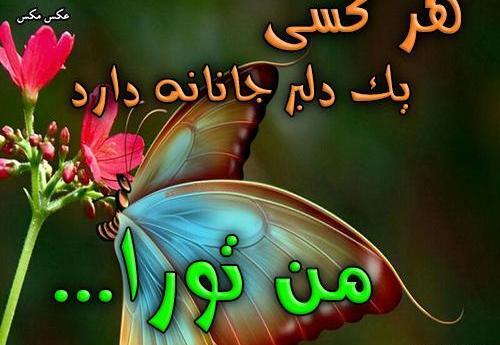 عکس نوشته جانانه