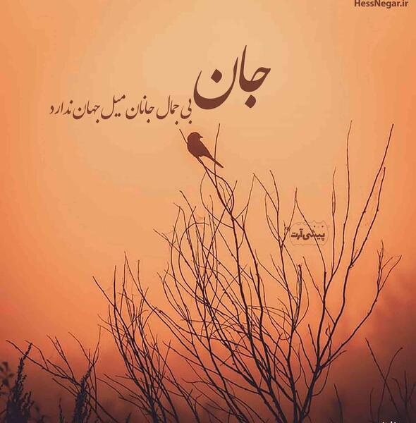 عکس نوشته جان و جانان