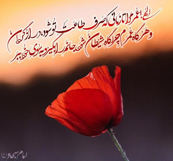 عکس نوشته احادیث امام سجاد علیه السلام
