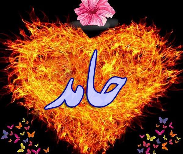 عکس نوشته اسم حامد برای پروفایل