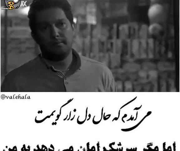 عکس نوشته از حامد بهداد