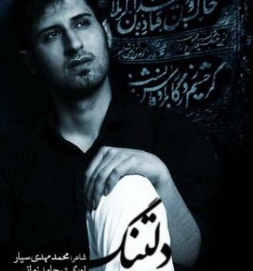 عکس نوشته آهنگهای حامد زمانی