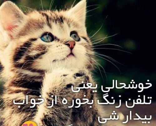 عکس نوشته خاله ک داشته باشی